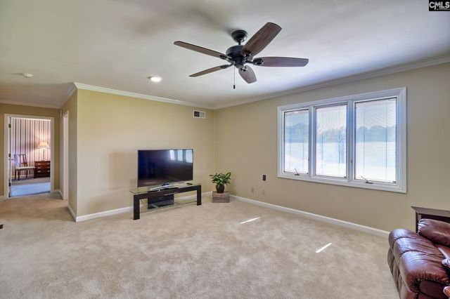 307 Old Bush River Road, Chapin, SC 29036