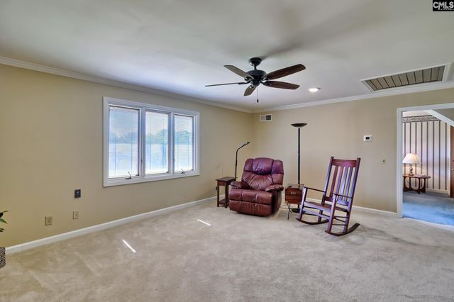 307 Old Bush River Road, Chapin, SC 29036