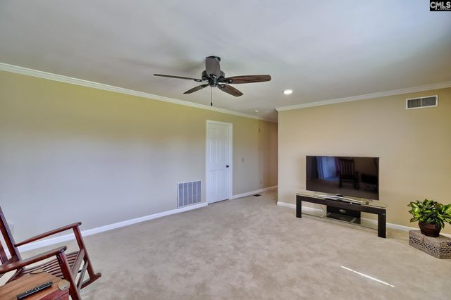 307 Old Bush River Road, Chapin, SC 29036