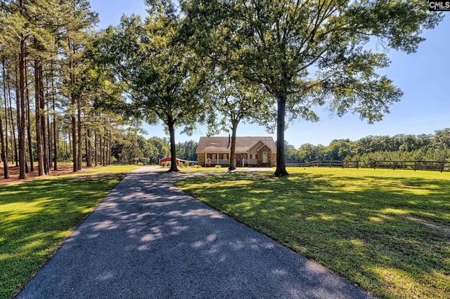 307 Old Bush River Road, Chapin, SC 29036