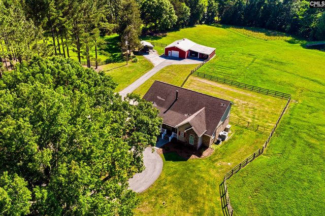 307 Old Bush River Road, Chapin, SC 29036
