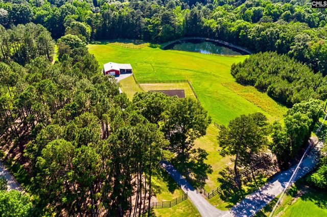 307 Old Bush River Road, Chapin, SC 29036