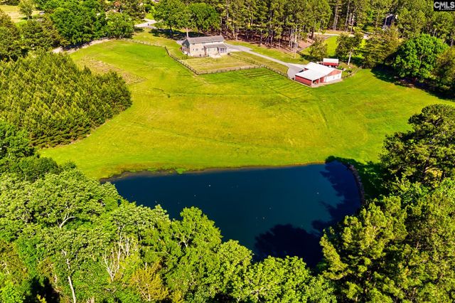 307 Old Bush River Road, Chapin, SC 29036