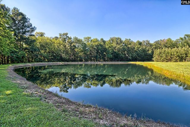 307 Old Bush River Road, Chapin, SC 29036