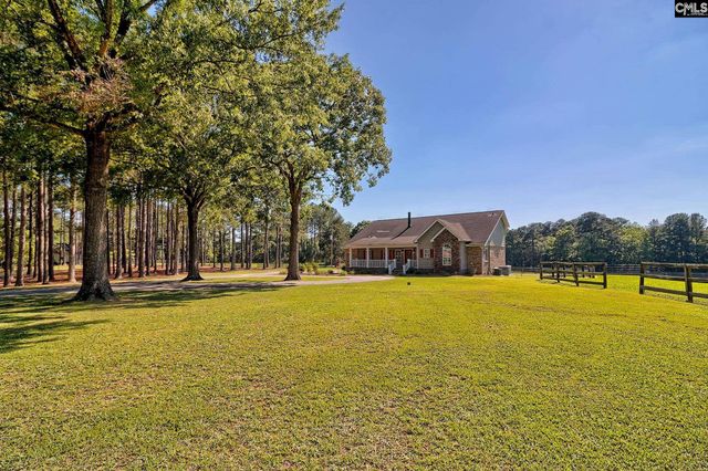 307 Old Bush River Road, Chapin, SC 29036