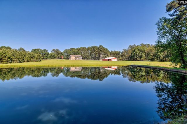 307 Old Bush River Road, Chapin, SC 29036