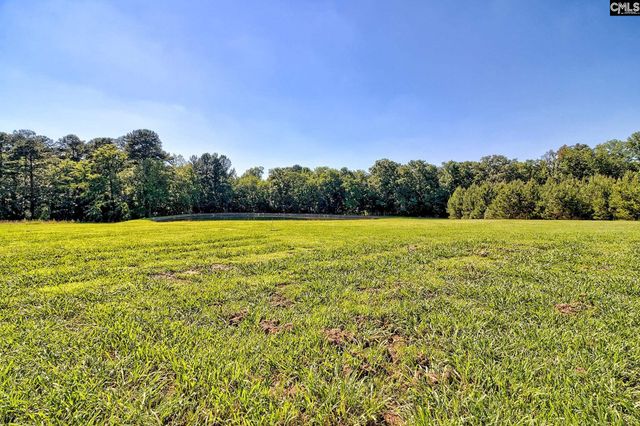 307 Old Bush River Road, Chapin, SC 29036