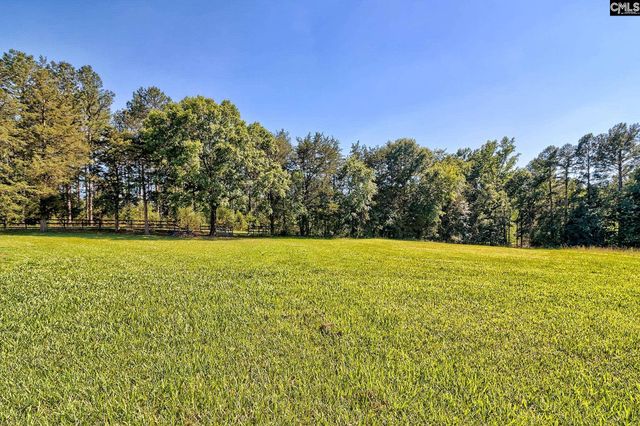 307 Old Bush River Road, Chapin, SC 29036