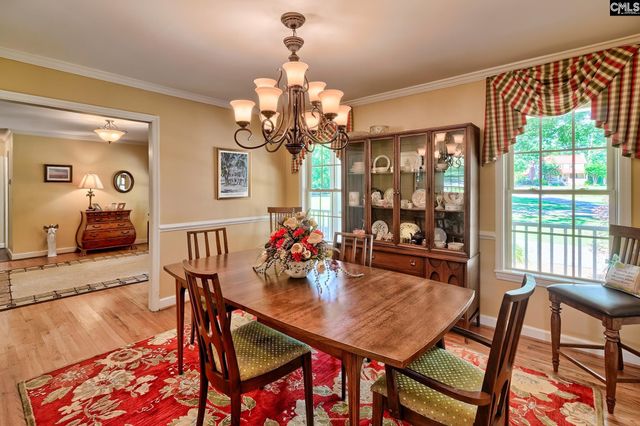 307 Old Bush River Road, Chapin, SC 29036