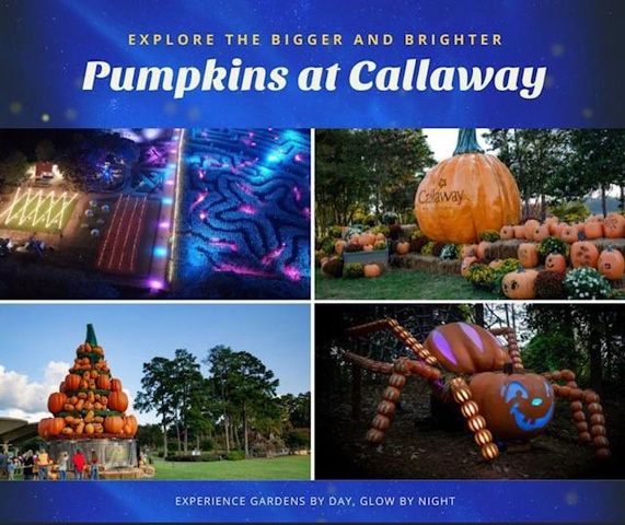 1441 Oak Creek Circle, Pine Mountain, GA 31822