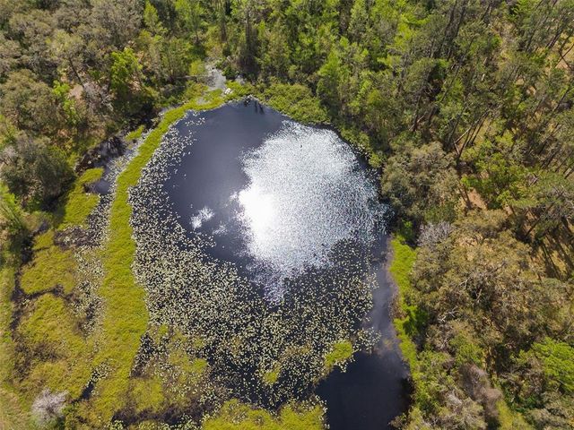 PUMPKIN PATH, Brooksville, FL 34602