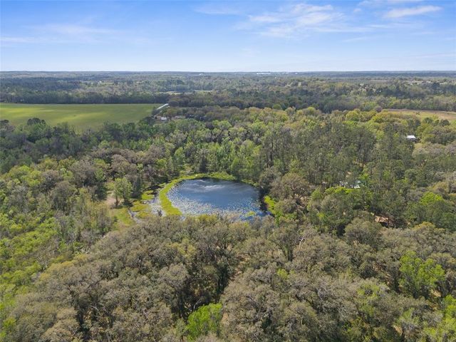 PUMPKIN PATH, Brooksville, FL 34602