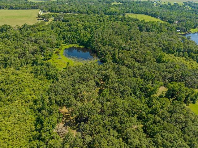 PUMPKIN PATH, Brooksville, FL 34602