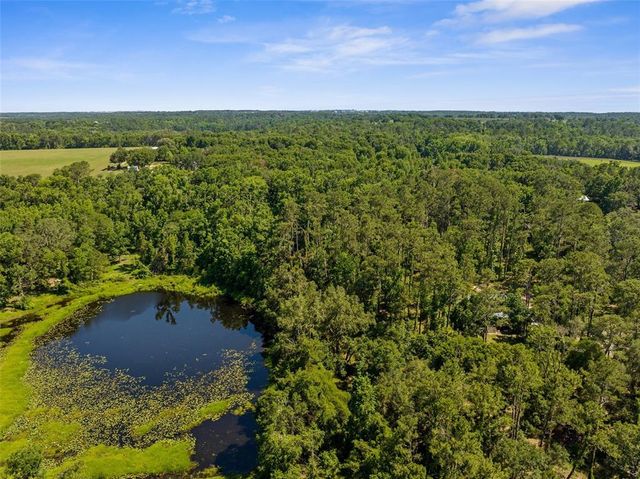 PUMPKIN PATH, Brooksville, FL 34602