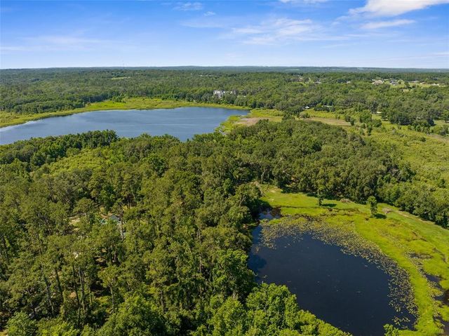 PUMPKIN PATH, Brooksville, FL 34602
