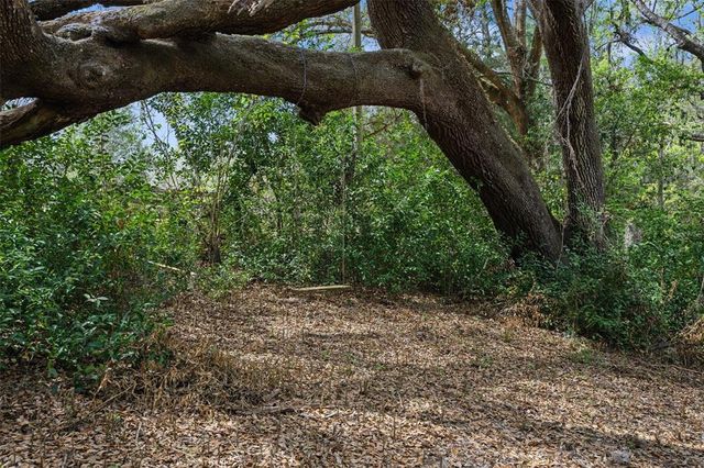 PUMPKIN PATH, Brooksville, FL 34602