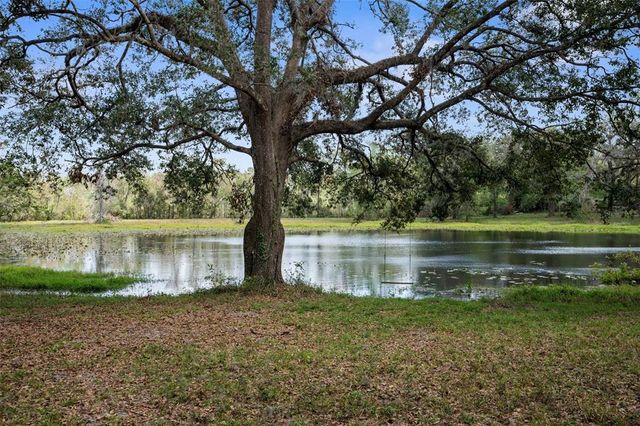 PUMPKIN PATH, Brooksville, FL 34602