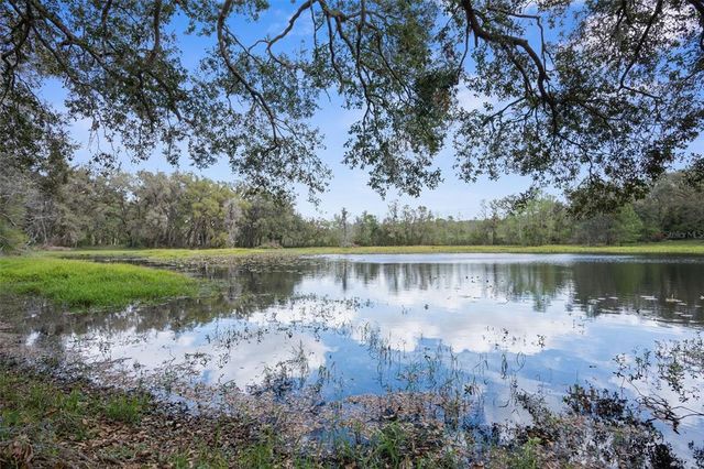 PUMPKIN PATH, Brooksville, FL 34602