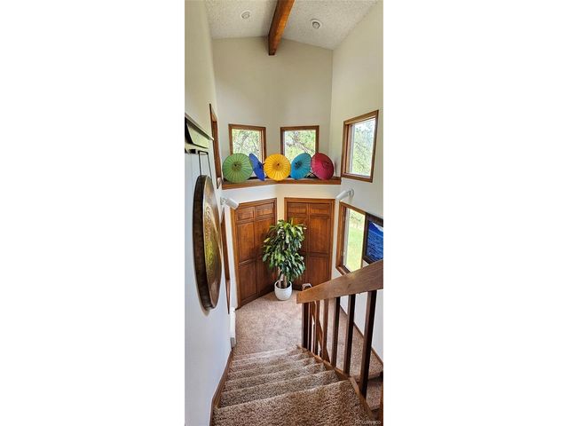 27901 Pine Dr, Evergreen, CO 80439