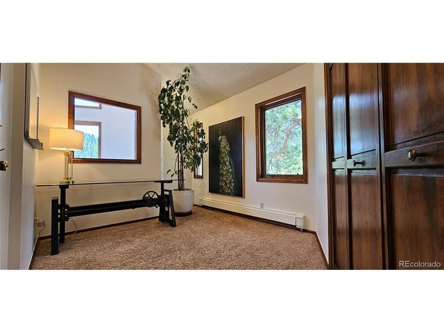 27901 Pine Dr, Evergreen, CO 80439
