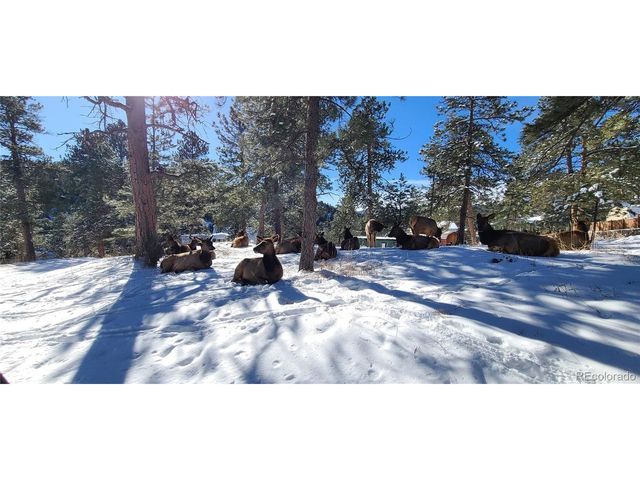 27901 Pine Dr, Evergreen, CO 80439