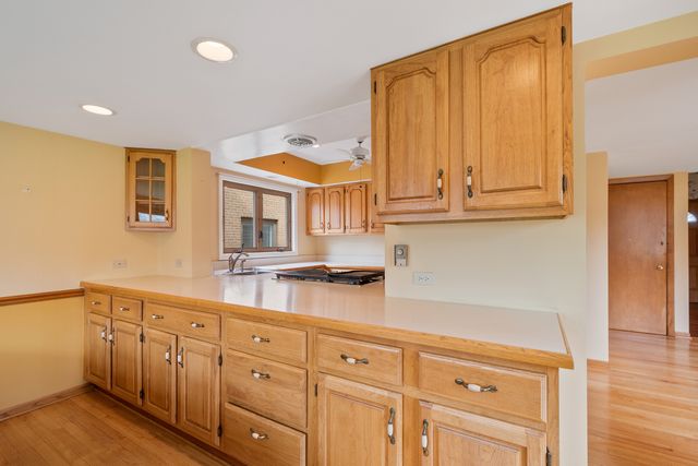 1104 S ALDINE Avenue, Park Ridge, IL 60068