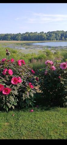 3752 Schermerhorn Lake Drive, Allegan, MI 49010