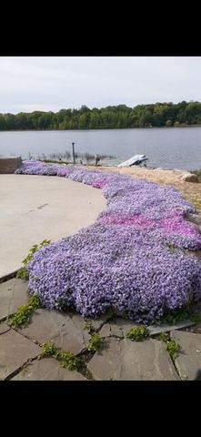 3752 Schermerhorn Lake Drive, Allegan, MI 49010