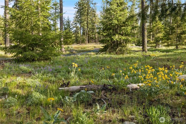 53 Wanawish Loop, Cle Elum, WA 98922