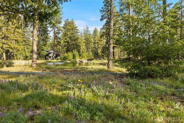 53 Wanawish Loop, Cle Elum, WA 98922