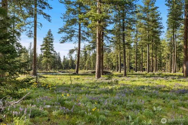 53 Wanawish Loop, Cle Elum, WA 98922