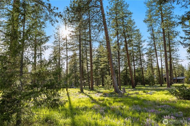 53 Wanawish Loop, Cle Elum, WA 98922