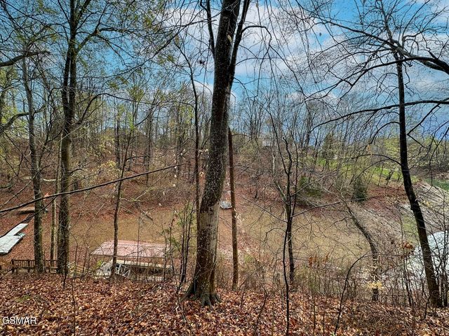 0 David Swann Drive, Dandridge, TN 37725