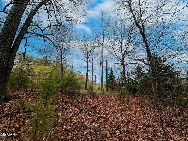0 David Swann Drive, Dandridge, TN 37725