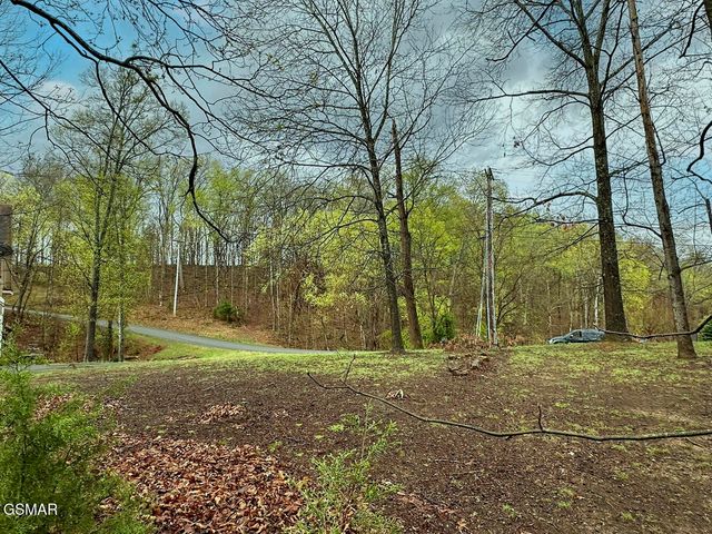 0 David Swann Drive, Dandridge, TN 37725