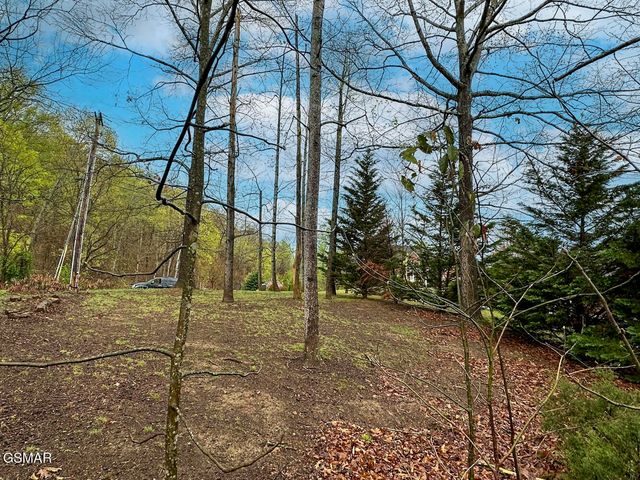 0 David Swann Drive, Dandridge, TN 37725