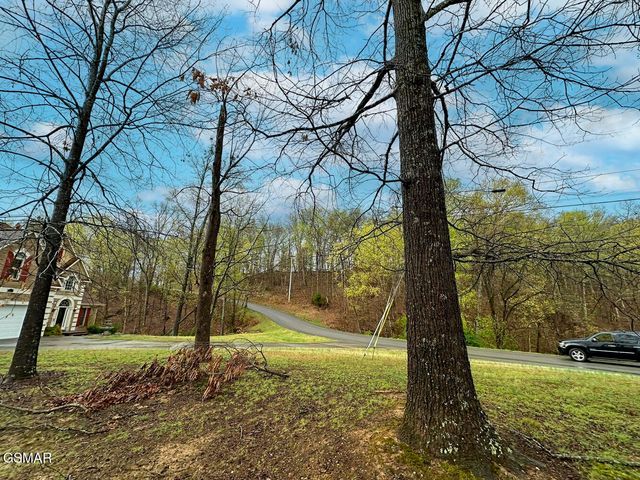 0 David Swann Drive, Dandridge, TN 37725