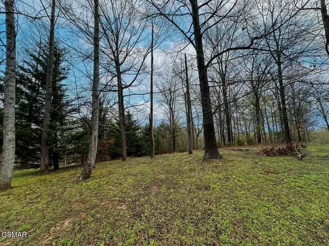 0 David Swann Drive, Dandridge, TN 37725