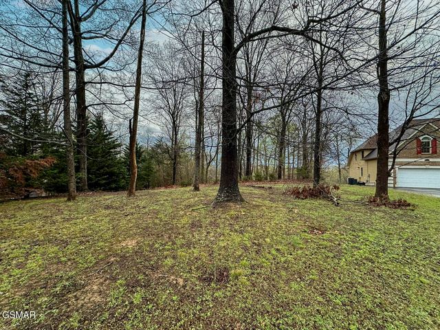 0 David Swann Drive, Dandridge, TN 37725