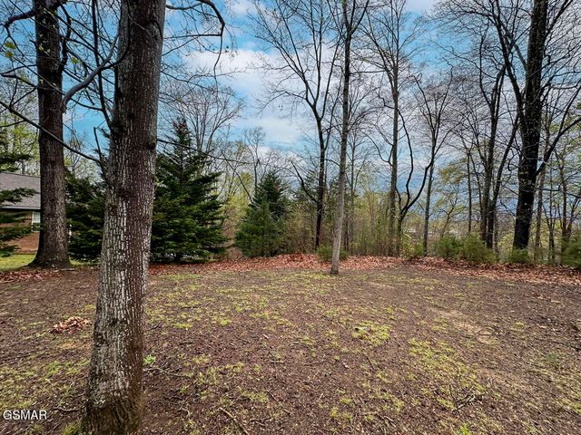 0 David Swann Drive, Dandridge, TN 37725