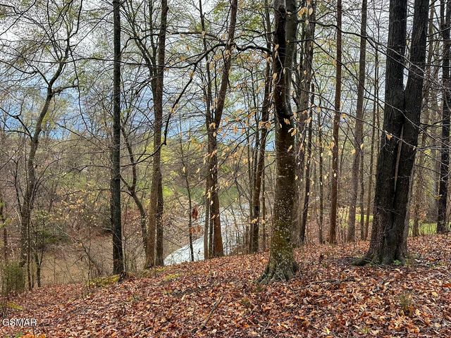 0 David Swann Drive, Dandridge, TN 37725