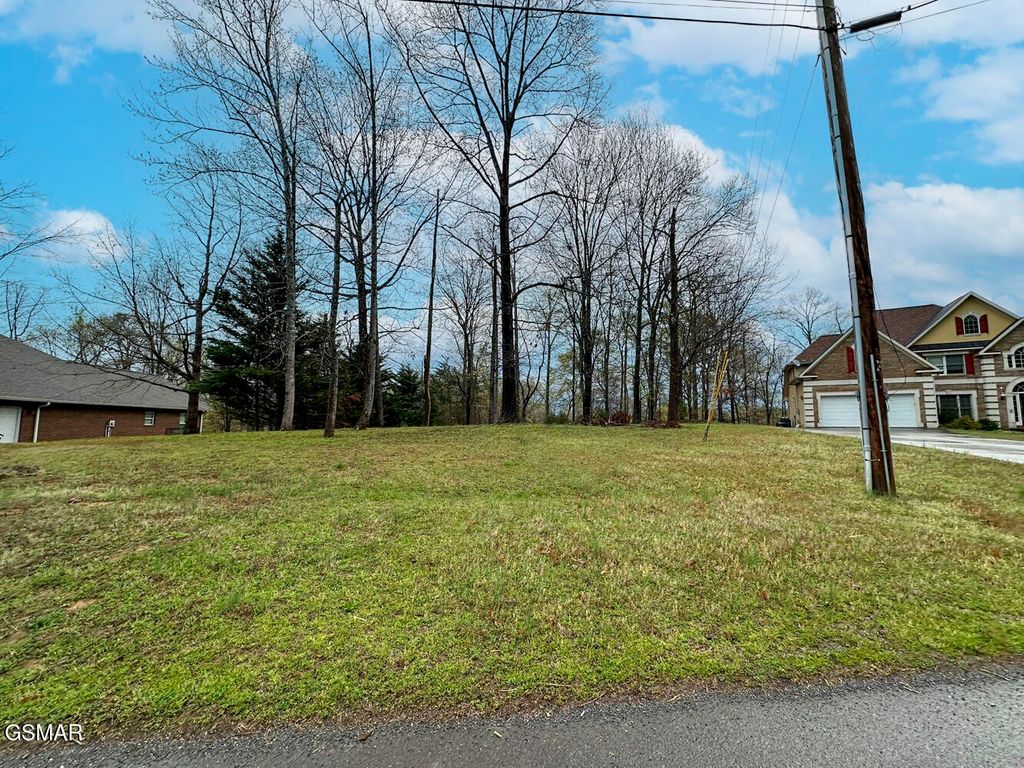 0 David Swann Drive, Dandridge, TN 37725