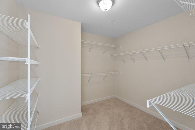 5313 STREAM BANK LN, Greenbelt, MD 20770