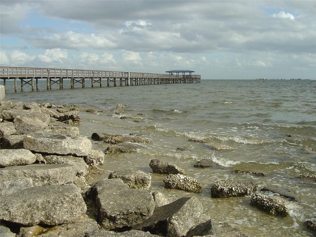 603 BALDWIN AVENUE B, Safety Harbor, FL 34695