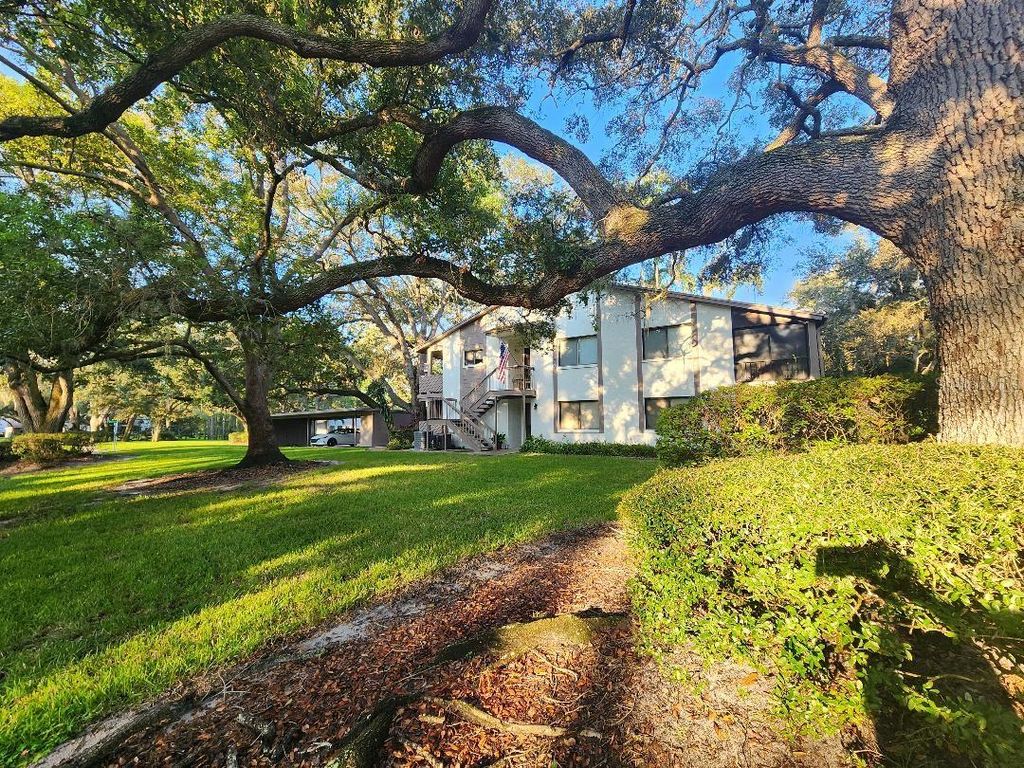 603 BALDWIN AVENUE B, Safety Harbor, FL 34695