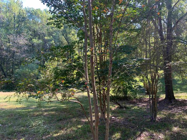 10339 PLEASANT RIDGE RD, Arlington, TN 38002