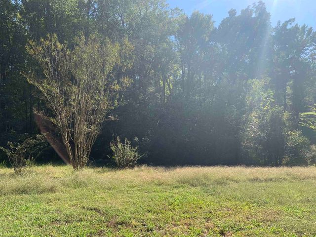 10339 PLEASANT RIDGE RD, Arlington, TN 38002