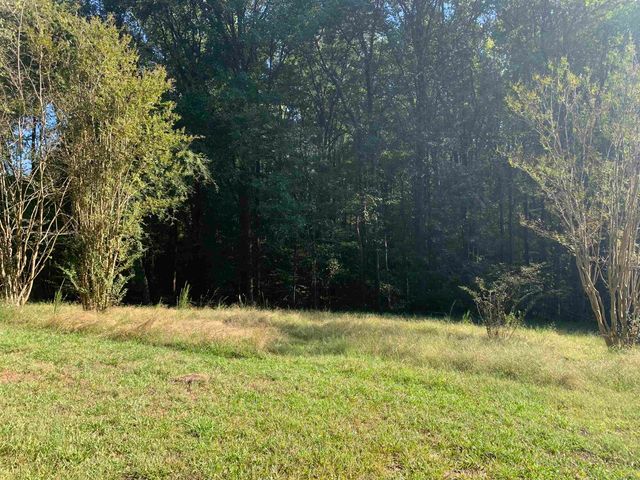 10339 PLEASANT RIDGE RD, Arlington, TN 38002