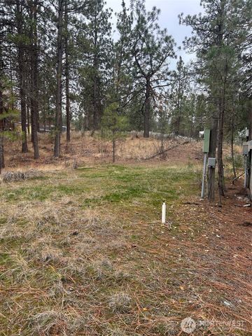 56 Oakes Drive, Tonasket, WA 98855