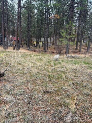 56 Oakes Drive, Tonasket, WA 98855